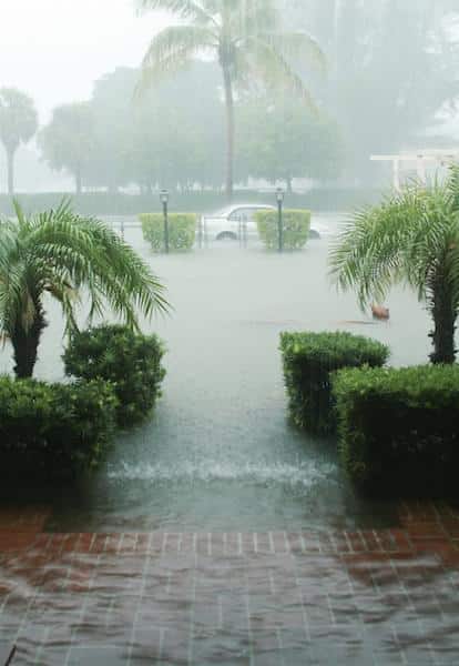 Hurricane season in South Florida hits June 1. Store valuables before they get damaged!